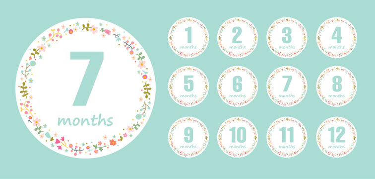 Cute 12 months stickers for the first year of the baby boy's life. Baby shower. Flowers in circle. Vector design.