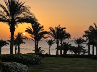 Morze czerwone, Egipt ت غالب,  © Maciej G. Szling