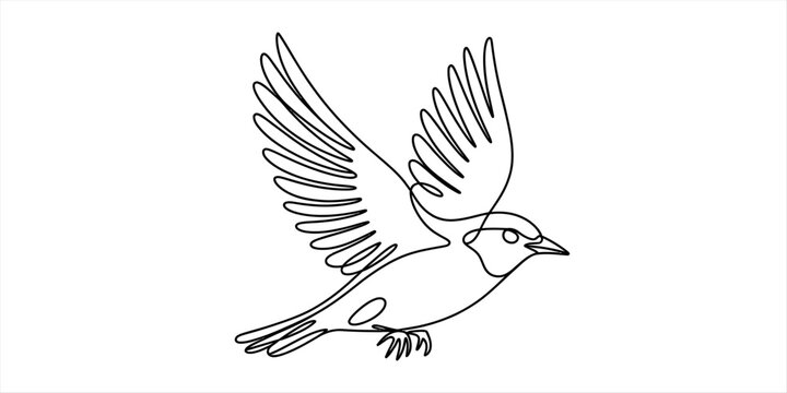 A minimalist single line drawing of a small bird captured in mid flight against white background Vector, illustration
