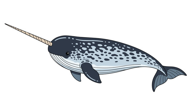 Unique narwhal with a long tusk and spotted gray skin swims through the ocean water in a detailed animal illustration.