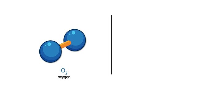 Educational motion graphics of oxygen molecule and atom structure isolated on white background.