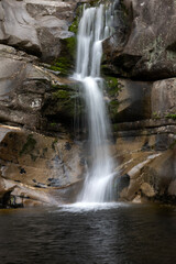 Fototapeta premium waterfall in the forest