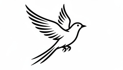 Fototapeta premium flying white dove bird in mid air with wings spread against plain background