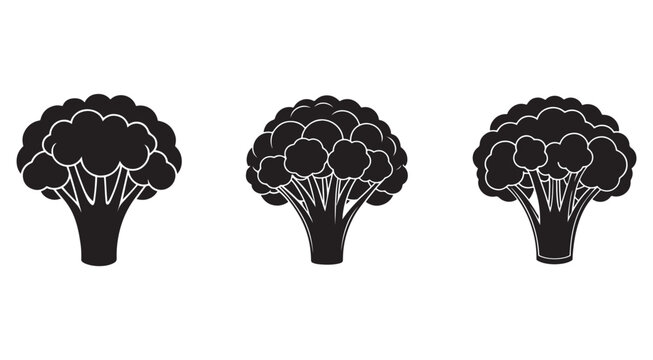 Black and white broccoli silhouettes with white outlines on plain white background for food design elements  three simple cauliflower icons