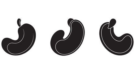 Fototapeta premium Stomach icons in different positions human organ illustrations digestive system anatomy symbols