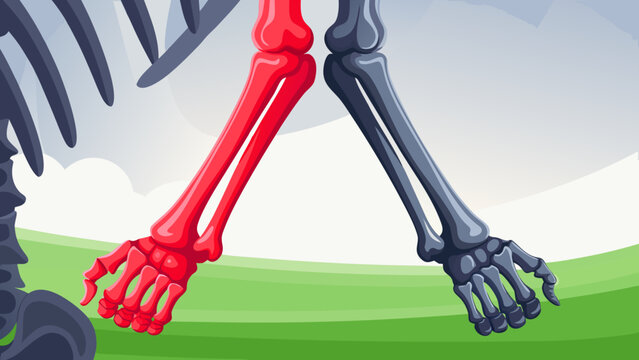 Skeleton Arm Bone Structure Scene Vector Illustra