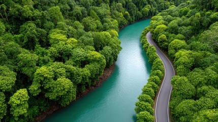 Fototapeta premium River winding through a tropical jungle from an aerial perspective