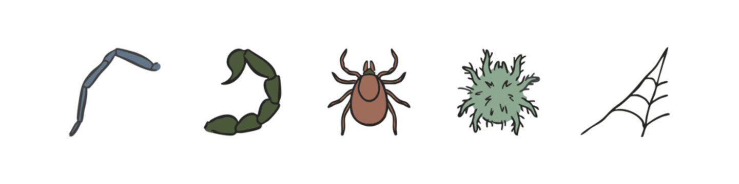 Collection of Hand Drawn Pest and Parasite Icons Featuring Scorpion Tail, Tick, Mite and Spider Web