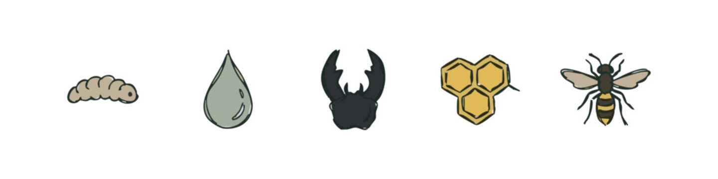 Bees and Insect Biology Icons, Hand-Drawn Doodle Style Vector Set