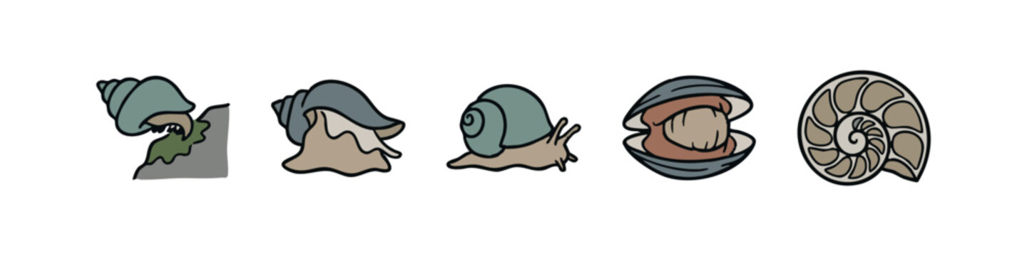 Assorted Sea Shells and Snails, Hand-Drawn Nautical Doodle Vector Set