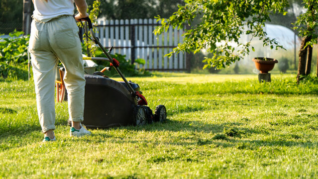 Sunlight glints off the grass as a person pushes a lawn mower