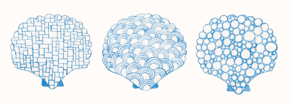 shell watercolor element hand drawn seashell beach summer illustration