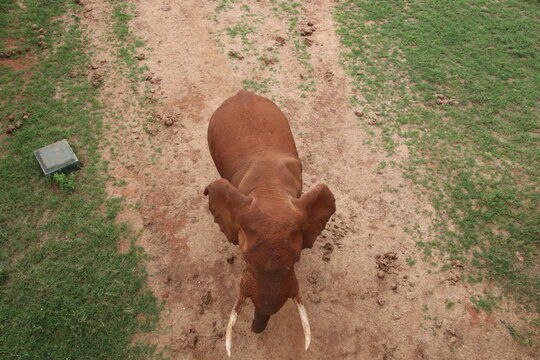 2026-02-27 Kenia Taita Hills Wildlife Sanctuary