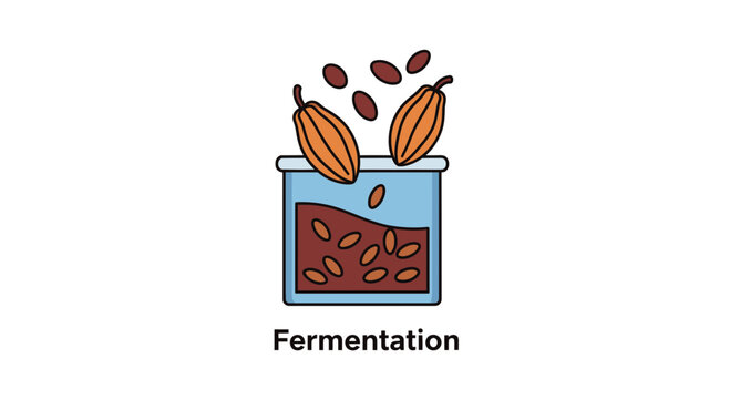 Cocoa Bean Fermentation Process Icon