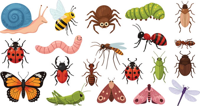 Insect collection set with beetles butterflies caterpillars ants spiders and bugs, colorful nature entomology illustration pack isolated on white background