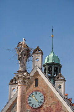 Two white storks are building a nest on the historic Marian column in the old town of Freising