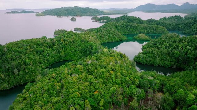 Aerial Drone View of Jellyfish Lake &ndash; Jelly fish Lake Togean Island Indonesia Tropical Lagoon Ecosystem