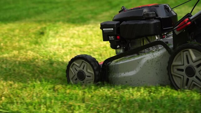 Lawn mower cuts green grass smoothly. Sunlight glows on freshly trimmed blades. Mower moves forward, leaving neat rows behind. No people shown. Perfect for gardening or outdoor maintenance projects