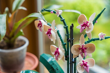 Naklejka premium Prague, Czech republic - May 8, 2024: A detailed view of a plastic orchid crafted from Lego bricks, presenting a stylish, long-lasting, and eco-friendly alternative to traditional home plants.