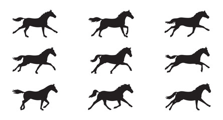 Fototapeta premium Set of horse running silhouettes in different gaits on white background.