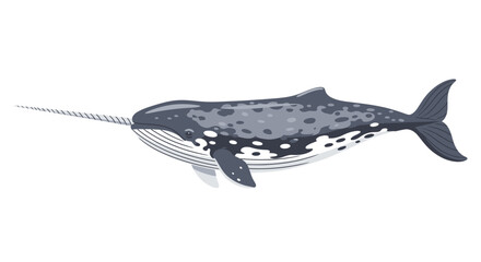 Narwhal Whale with Long Tusk Illustration © Natan