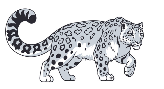 Snow Leopard Walking Isolated White Background, Vector Illustration