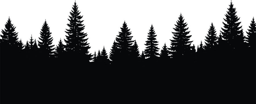 Pine forest silhouette vector, dense evergreen trees landscape border isolated on white background nature woodland illustration design element