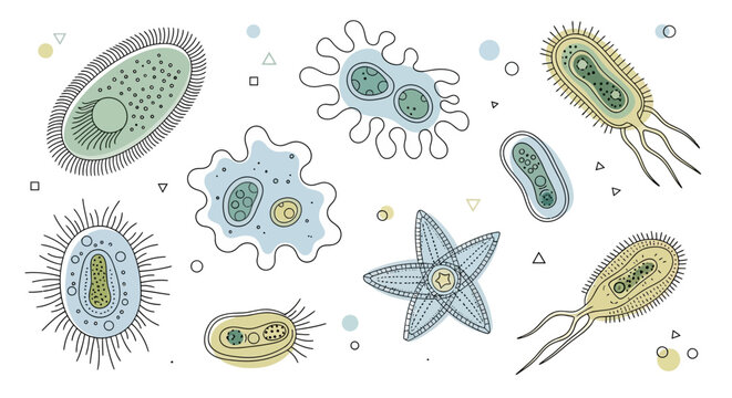 Collection of diverse microorganisms and bacteria illustrated.