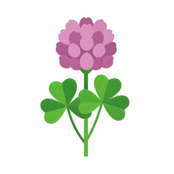 Pink Clover Flower Illustration with Green Shamrock Leaves