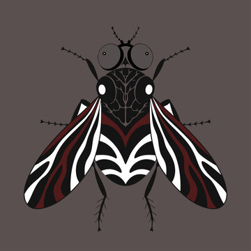 Stylized Fly Insect Vector Illustration, Ornamental Bug Design, Symmetrical Decorative Animal Art