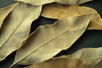 Obraz premium A close-up of dried bay leaves, showcasing their rich texture and muted earthy tones.