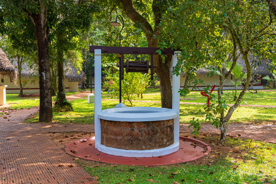 Tranquil Garden Well in a Tropical Eco-Resort, Marari Beach, Kerala, India