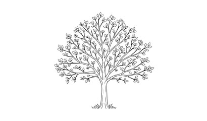 Spring garden tree outline line art vector illustration isolated on white background © MD HAJIRUDDIN