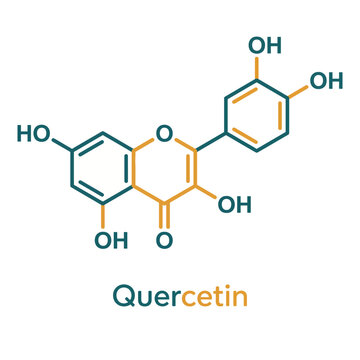 The chemical structure of quercetin is depicted clearly, showcasing its importance in nutrition and health, emphasizing its antioxidant properties along with scientific elegance.