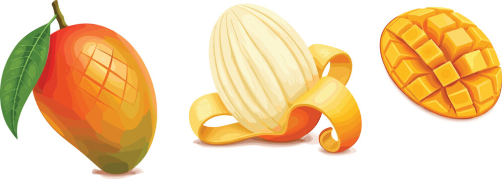 Vector Illustration Collection of Ripe Mango Fruits, Whole Mango with Leaf, Peeled Skin, and Diced Cubes Isolated on White Background,