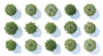 Set of 15 Green Tree Top View Vector Illustrations © newez