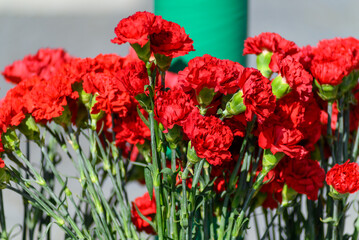 Obraz premium Red carnations bouquet symbolizing the 25 de Abril in Portugal. The Concept of revolution.