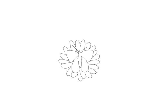 Minimalistische Line-Art Illustration eines Schmetterlings auf einer Blume
