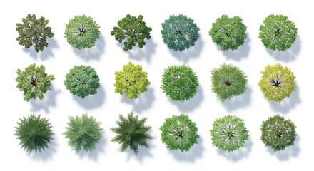 Set of 20 Top View Green Tree Vector Illustrations © newez