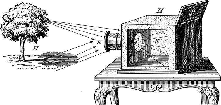 Vintage scientific engraving illustrating the camera obscura principles with a tree projecting an inverted image into a box on black background