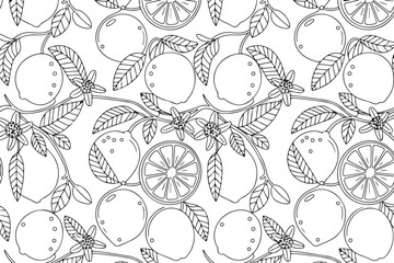 Naklejka premium Seamless Citrus Fruit Pattern Vector, Decorative Food Background EPS for Textile, Packaging and Surface Design