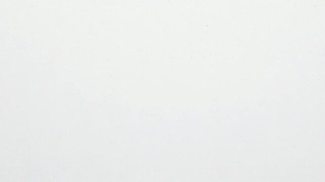 A blank white background with soft lighting and a neutral mood