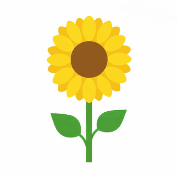 Sunflower Illustration Yellow Botanical Floral Design Isolated