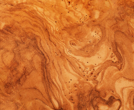 Olive Wood Texture Background, Solid Wooden Burr or Burl Pattern, Burled Wood Wallpaper