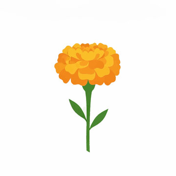 Orange Marigold Flower Illustration Layered Botanical Floral Design