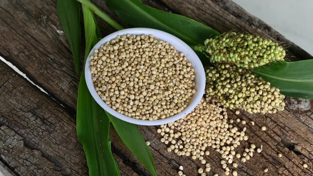 sorghum (broomcorn) seeds in plate on wooden table. whole seeds of sorghum close up