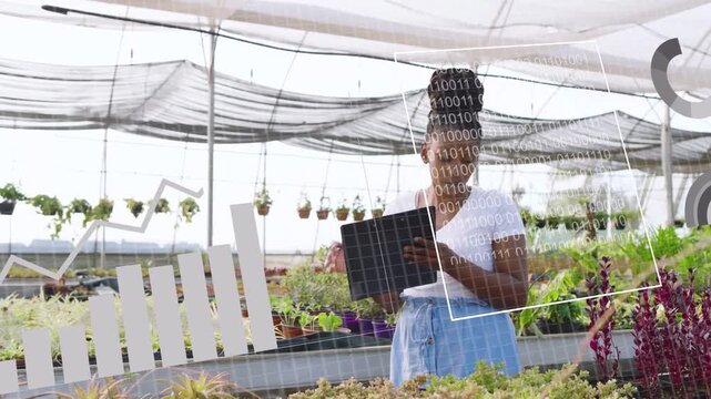 Woman leaning over greenhouse trays causing chart overlays, tapping tablet, analyzing growth