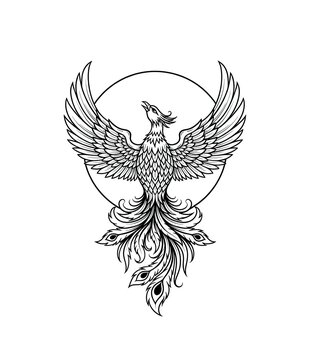 Phoenix bird with outstretched wings, circle, and flowing tail feathers