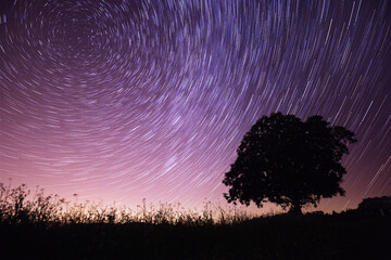 Farbenfroher Startrail über einem einsamen Baum 