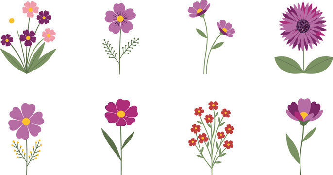 Purple Flower Collection Featuring Blooming Garden Floral Plants Spring Nature Botanical Illustrations for Decoration and Creative Design Projects
